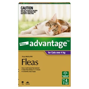 ADVANTAGE Flea Treatment for Cats Over 4 kg product photo