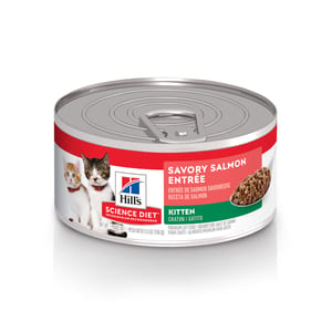 HILLS SCIENCE DIET Cat Salmon Entree Kitten Canned Food product photo