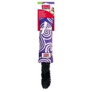 KONG Kickeroo Swirl Pattern product photo