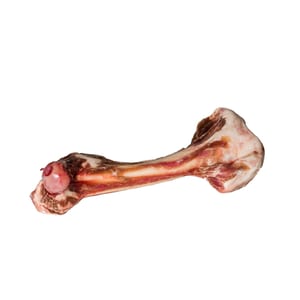 TUCKER'S Dog Frozen Lamb Bone Femur product photo