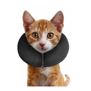 ZEN COLLAR XS product photo