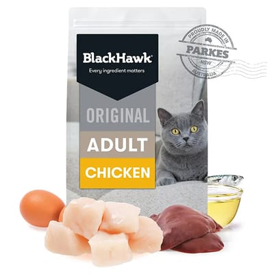 Black Hawk Adult Dry Cat Food Chicken product photo