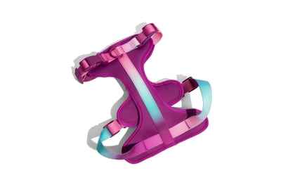 Pink Papyrus Adjustable No Pull Dog Harness product photo