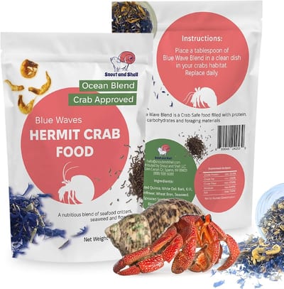 Snout and Shell Hermit Crab Food product photo