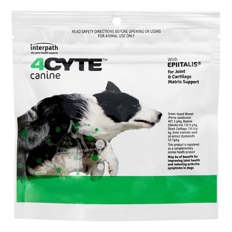 4CYTE Canine Joint Support Granules professional product photo ready to upload to shopify