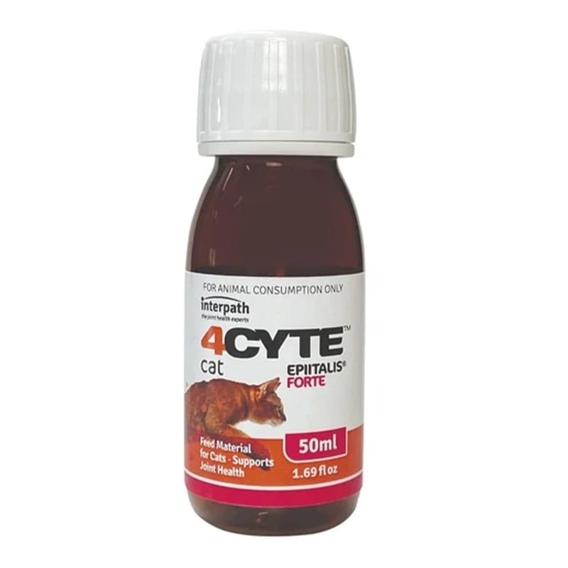 4CYTE Feline Epiitalis Forte Gel professional product photo ready to upload to shopify
