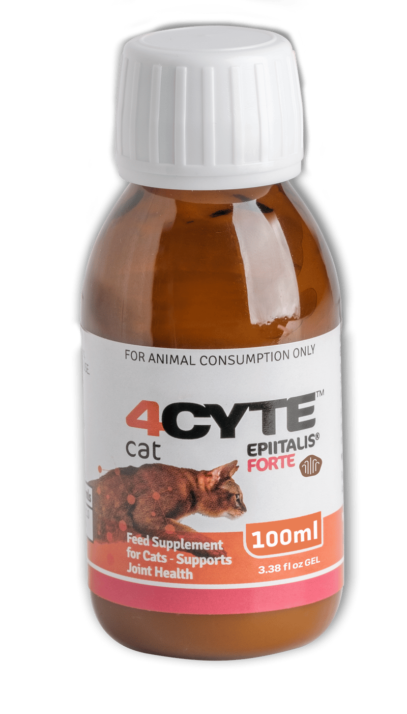 4CYTE Feline Epiitalis Forte Gel professional product photo ready to upload to shopify