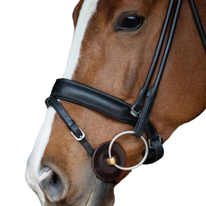 Acavallo Contoured Bit Guards professional product photo ready to upload to shopify