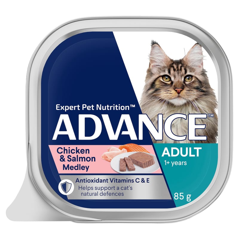ADVANCE Adult 1+ Years Wet Cat Food Chicken & Salmon Medley professional product photo ready to upload to shopify
