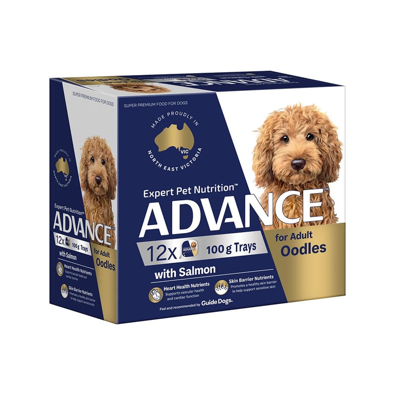 ADVANCE Adult Oodles Wet Dog Food with Salmon professional product photo ready to upload to shopify