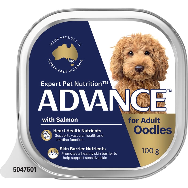 ADVANCE Adult Oodles Wet Dog Food with Salmon professional product photo ready to upload to shopify