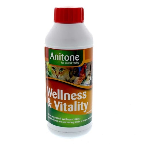 Anitone Wellness and Vitality Liquid Feed Supplement professional product photo ready to upload to shopify