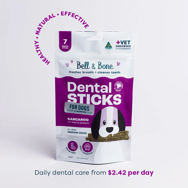 Bell & Bone Dog Dental Sticks Kangaroo Mint & Turmeric 44 Pack professional product photo ready to upload to shopify