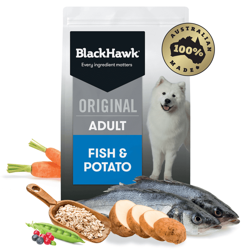 Black Hawk Adult Dry Dog Food Fish & Potato professional product photo ready to upload to shopify