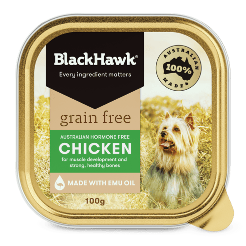 Black Hawk Grain Free Adult Wet Dog Food Chicken 9 x 100g professional product photo ready to upload to shopify
