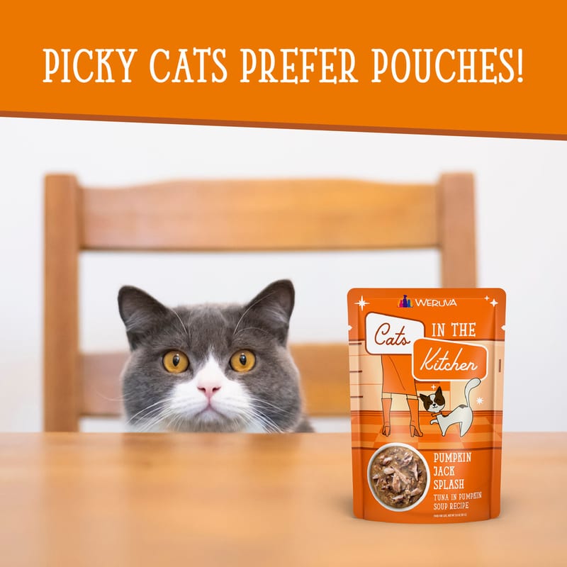Cats in the Kitchen Cat Pumpkin Jack Splash 3oz Pouch professional product photo ready to upload to shopify