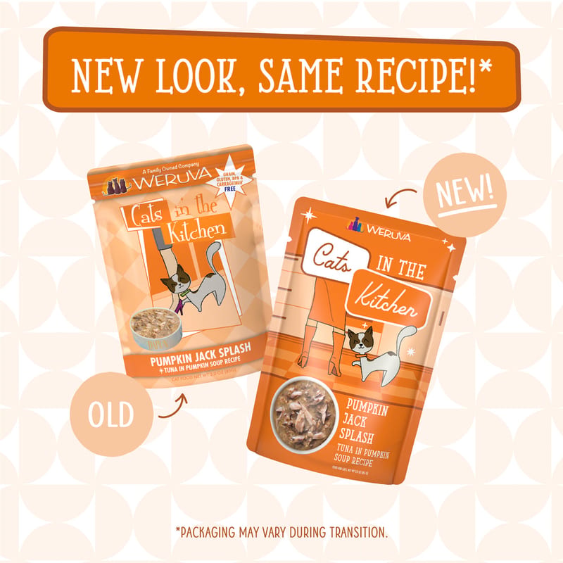 Cats in the Kitchen Cat Pumpkin Jack Splash 3oz Pouch professional product photo ready to upload to shopify