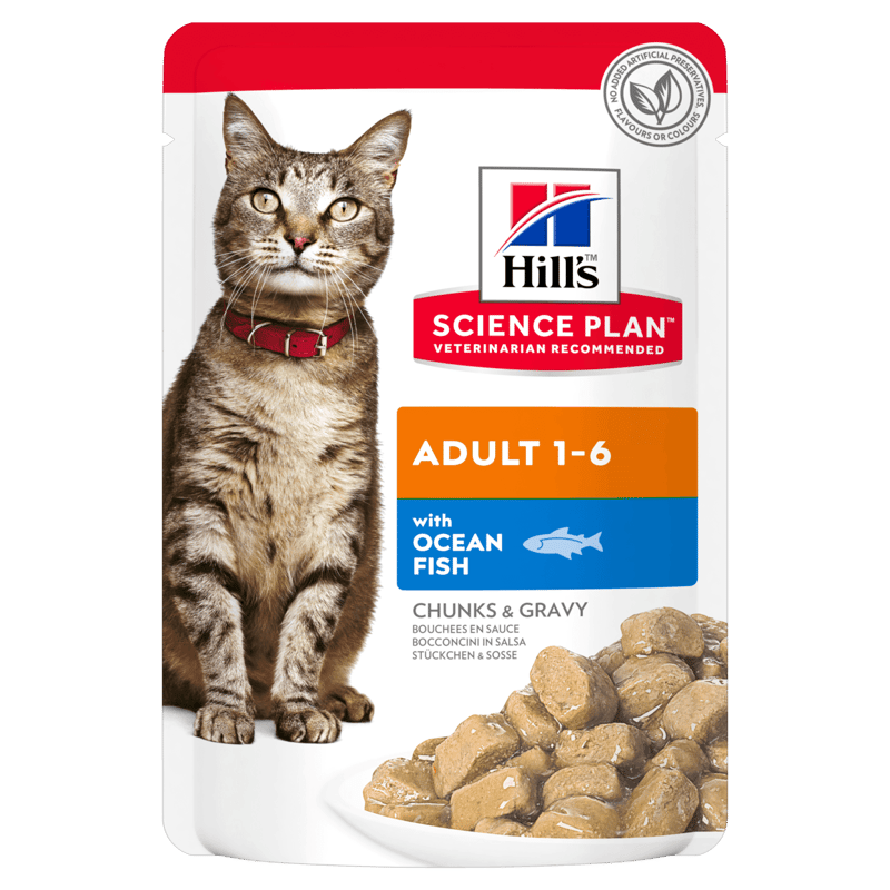 Hill's Science Diet Adult Cat Ocean Fish Pouches 85g 12 Pack professional product photo ready to upload to shopify