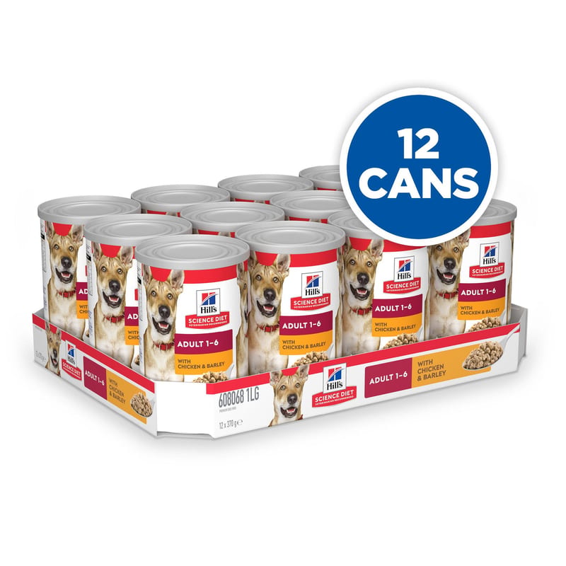 Hill's Science Diet Adult Chicken Entree Wet Dog Food 370g professional product photo ready to upload to shopify