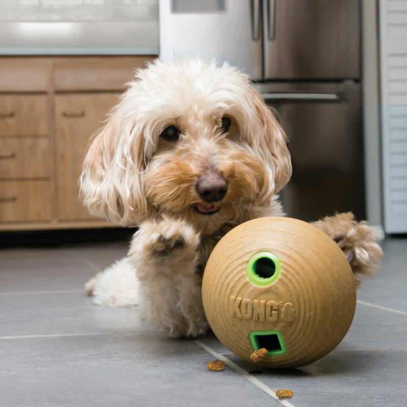 KONG Bamboo Feeder Ball professional product photo ready to upload to shopify