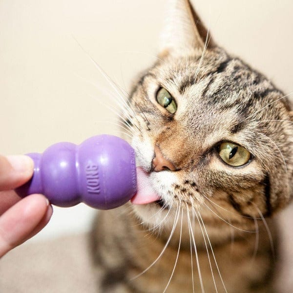 KONG Cat Kitty professional product photo ready to upload to shopify