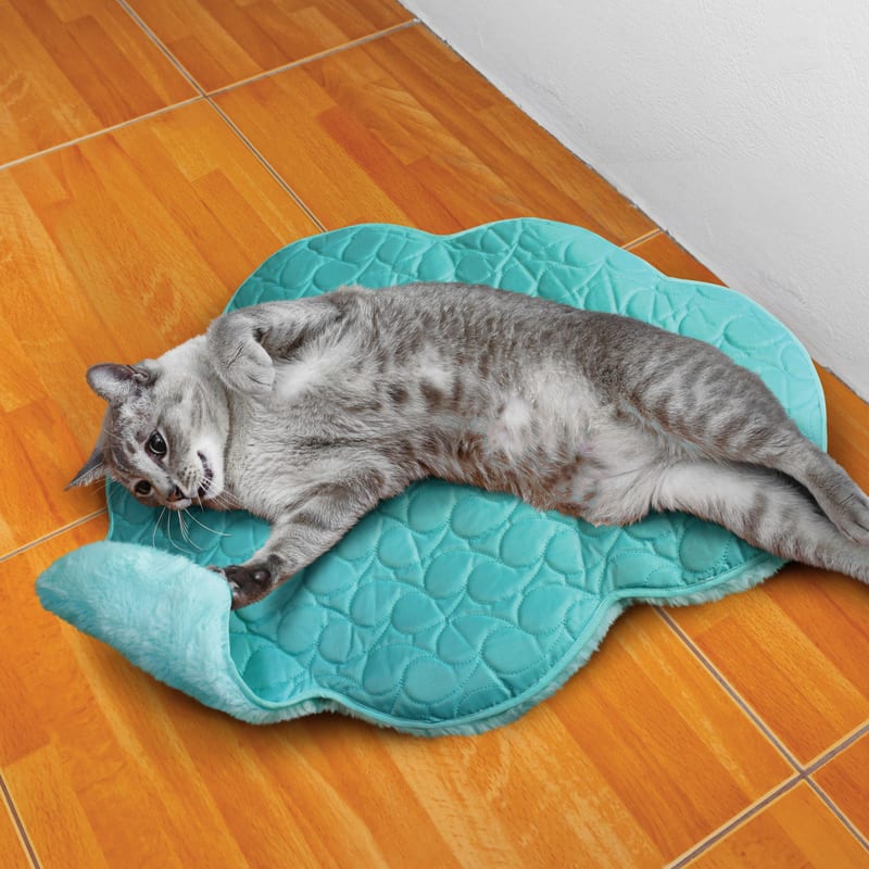 KONG Cat Play Spaces Cloud professional product photo ready to upload to shopify