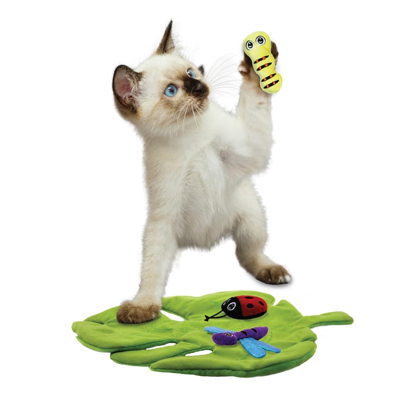 KONG Cat Pull-A-Partz Bugz professional product photo ready to upload to shopify