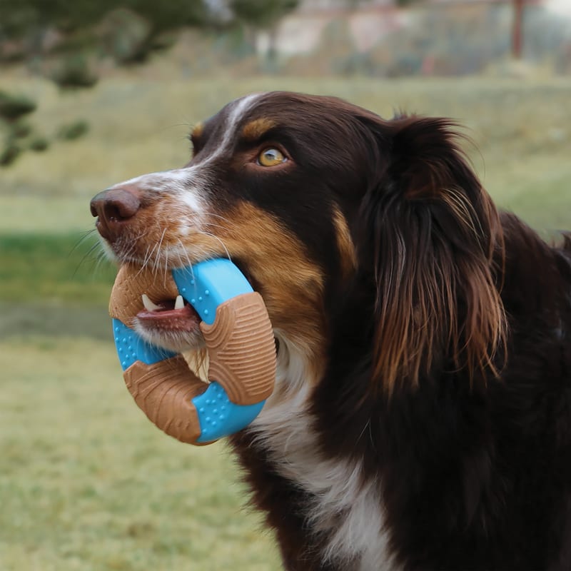 KONG CoreStrength Bamboo Bone professional product photo ready to upload to shopify