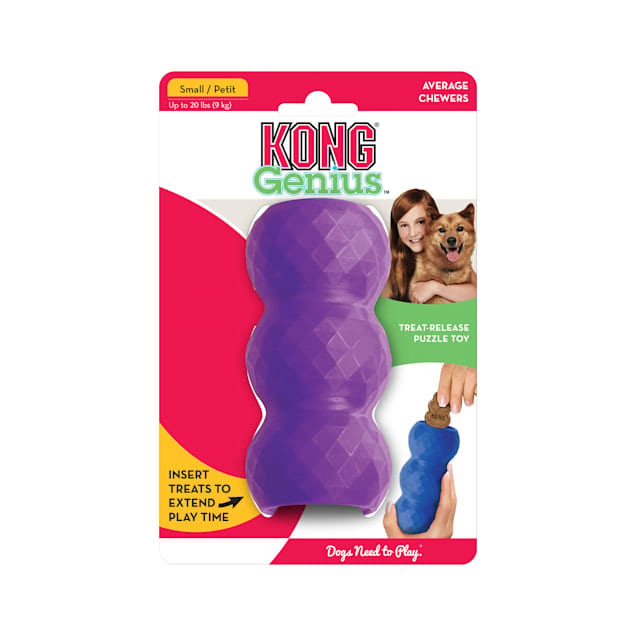 KONG Genius Mike professional product photo ready to upload to shopify
