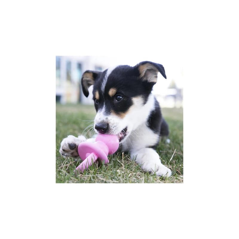 KONG Puppy Binkie professional product photo ready to upload to shopify