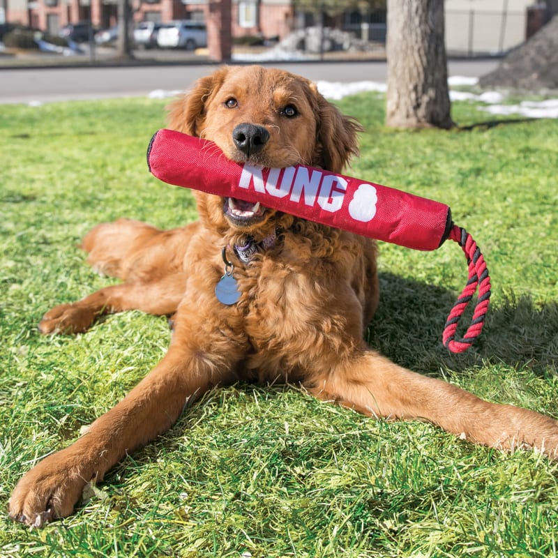 KONG Signature Stick With Rope professional product photo ready to upload to shopify