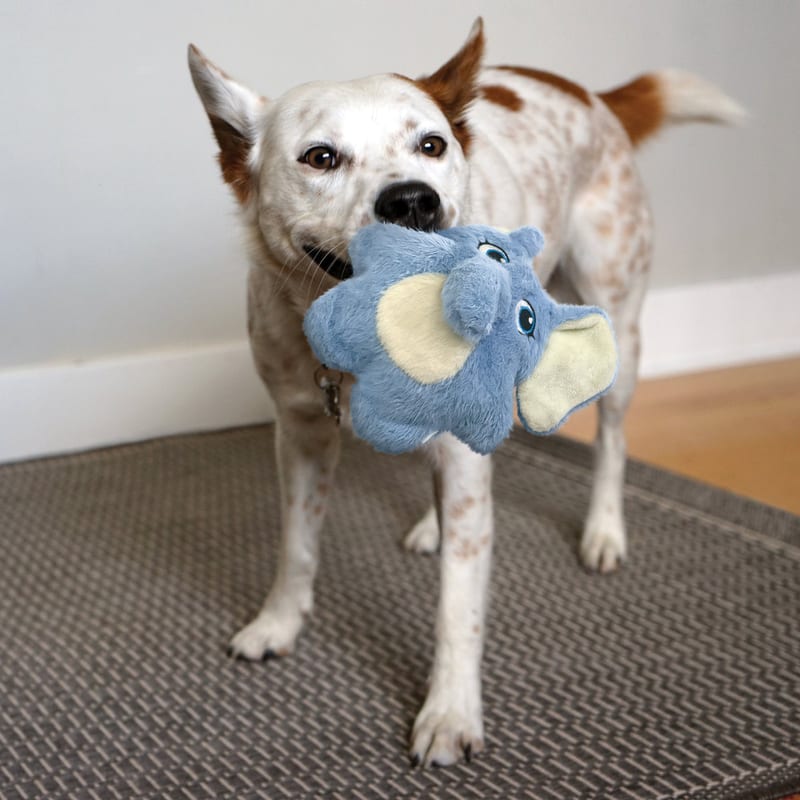 KONG Snuzzles Kiddos Elephant professional product photo ready to upload to shopify