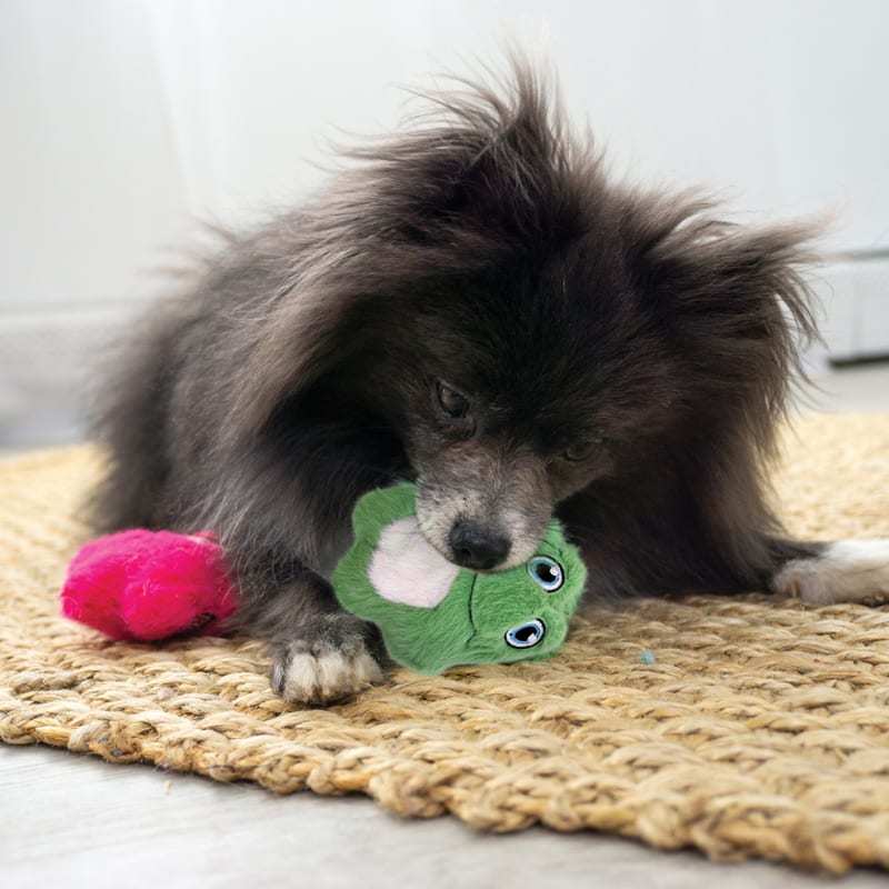 KONG Snuzzles Mini Frog professional product photo ready to upload to shopify
