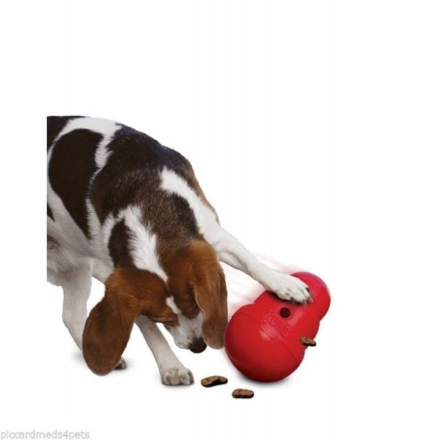 KONG Wobbler professional product photo ready to upload to shopify