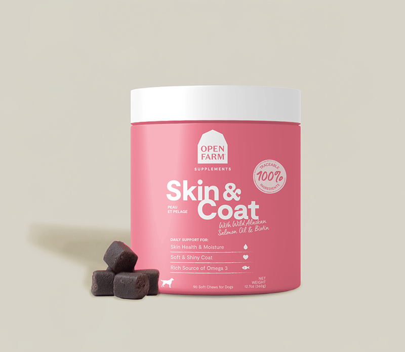 OPEN FARM DOG Skin and Coat Food Supplement Chew professional product photo ready to upload to shopify