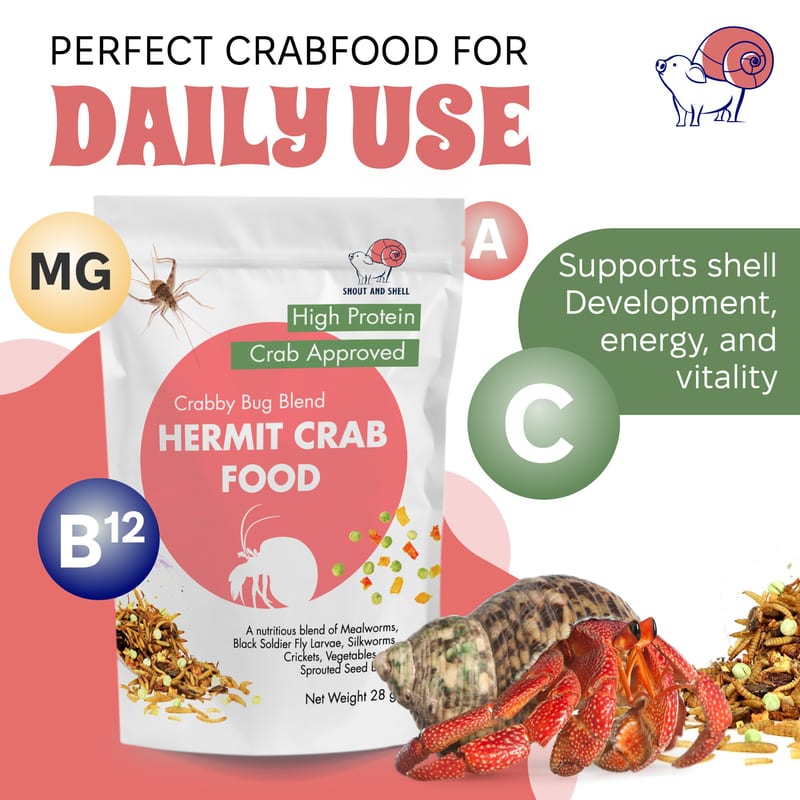 Snout and Shell Hermit Crab Food - Crabby Bug Blend professional product photo ready to upload to shopify