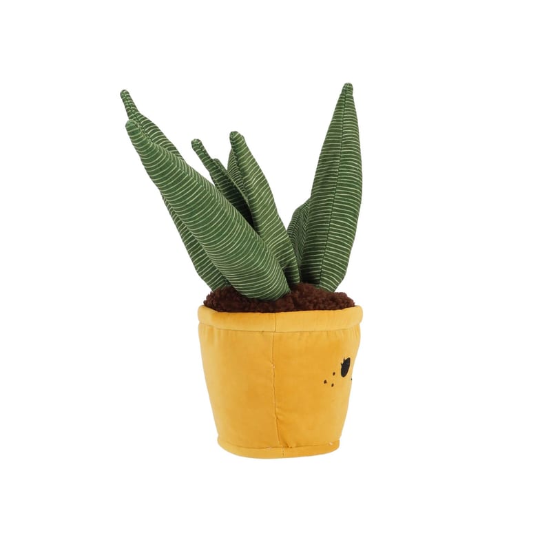 Take Me Home plant pluche XL professional product photo ready to upload to shopify
