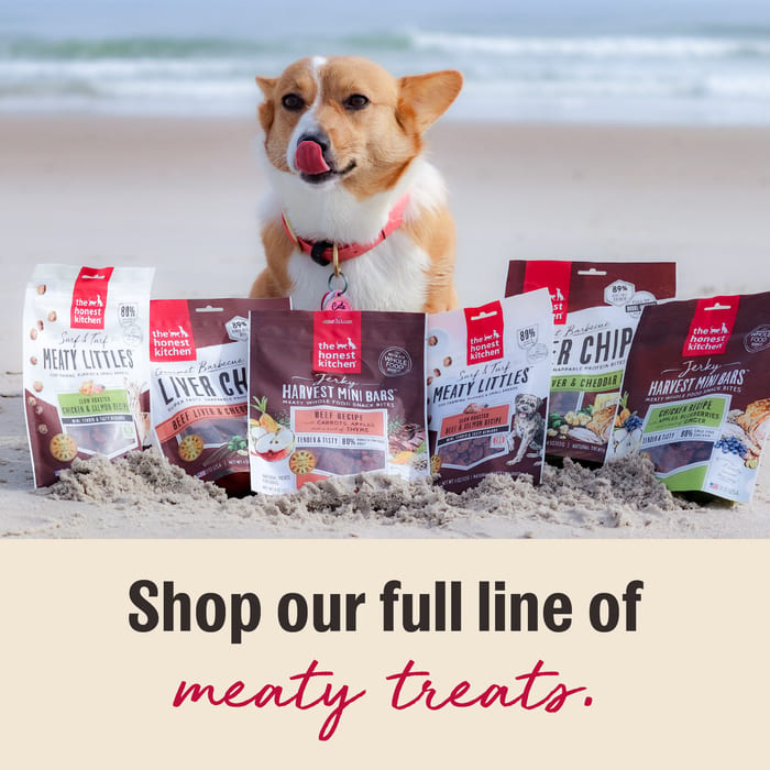 THE HONEST KITCHEN Gourmet Chicken Liver & Cheddar Chips Treats 4 oz professional product photo ready to upload to shopify