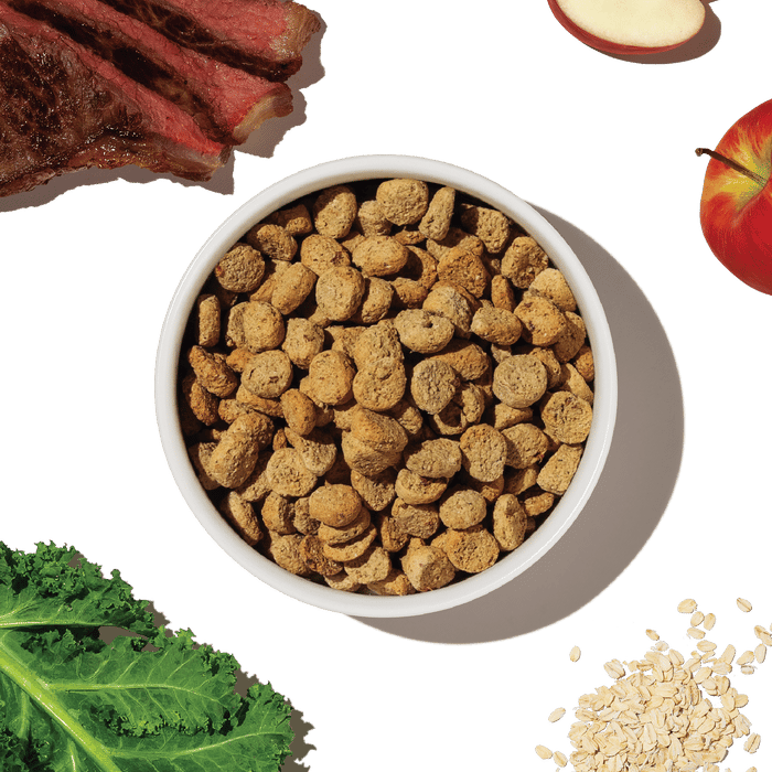 THE HONEST KITCHEN Dog Whole Grain Beef & Oat Whole Food Clusters Kibble 5 lb professional product photo ready to upload to shopify