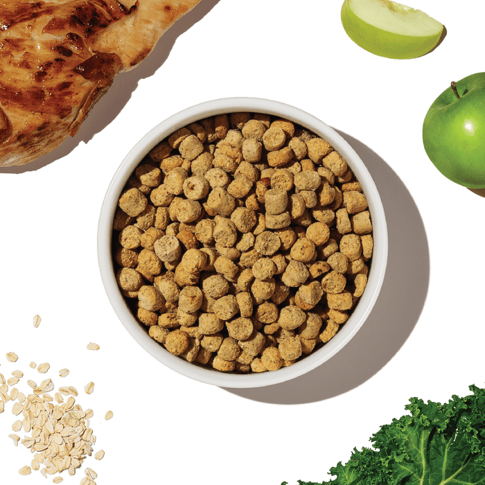 THE HONEST KITCHEN Whole Grain Chicken Whole Food Clusters Kibble for Small Breed professional product photo ready to upload to shopify