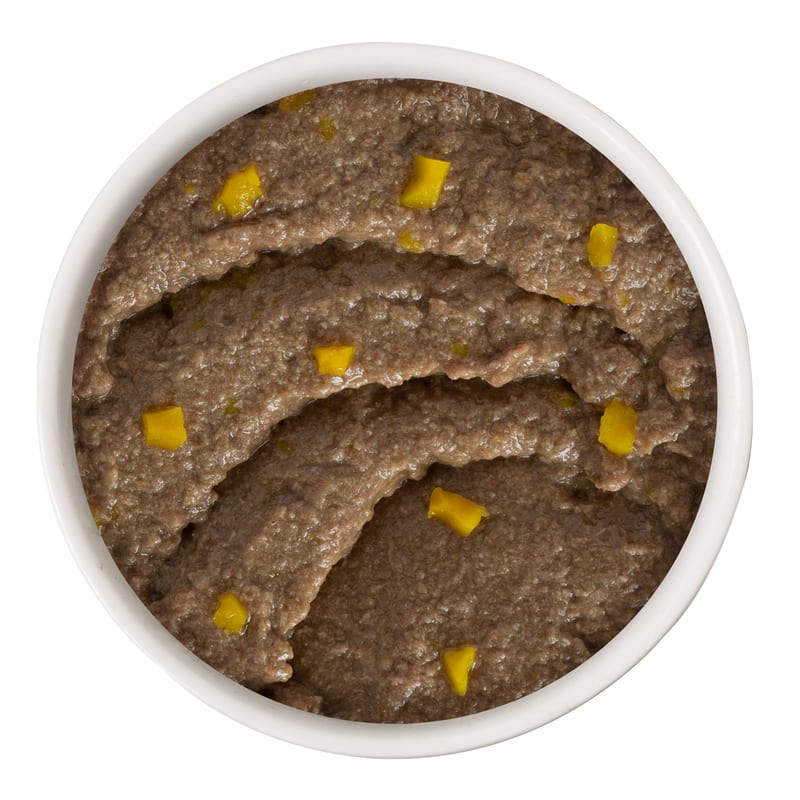 WERUVA CAT PATE WHO WANTS TO BE A MEOWIONAIRE professional product photo ready to upload to shopify