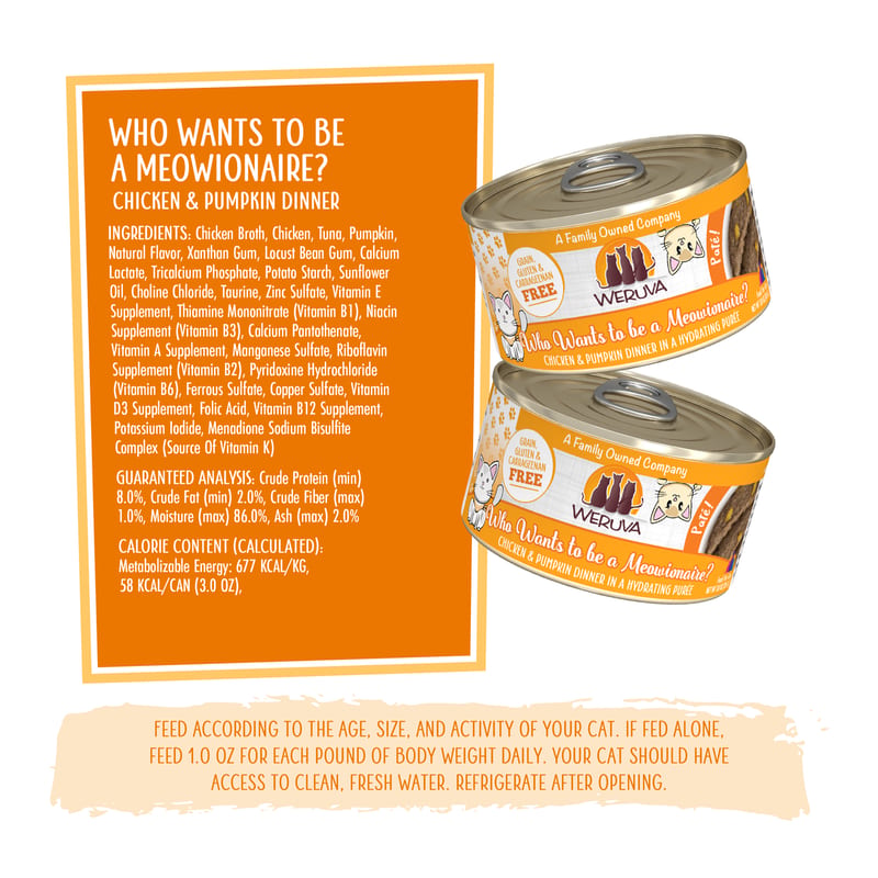 WERUVA CAT PATE WHO WANTS TO BE A MEOWIONAIRE professional product photo ready to upload to shopify