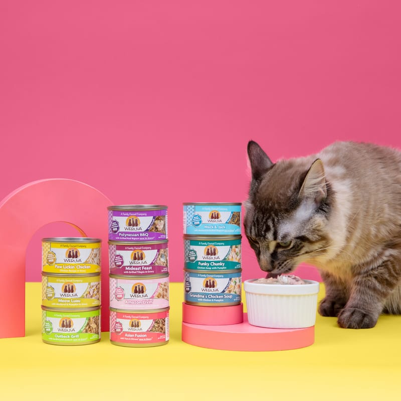 WERUVA Cat Paw Lickin' Chicken 5.5oz professional product photo ready to upload to shopify