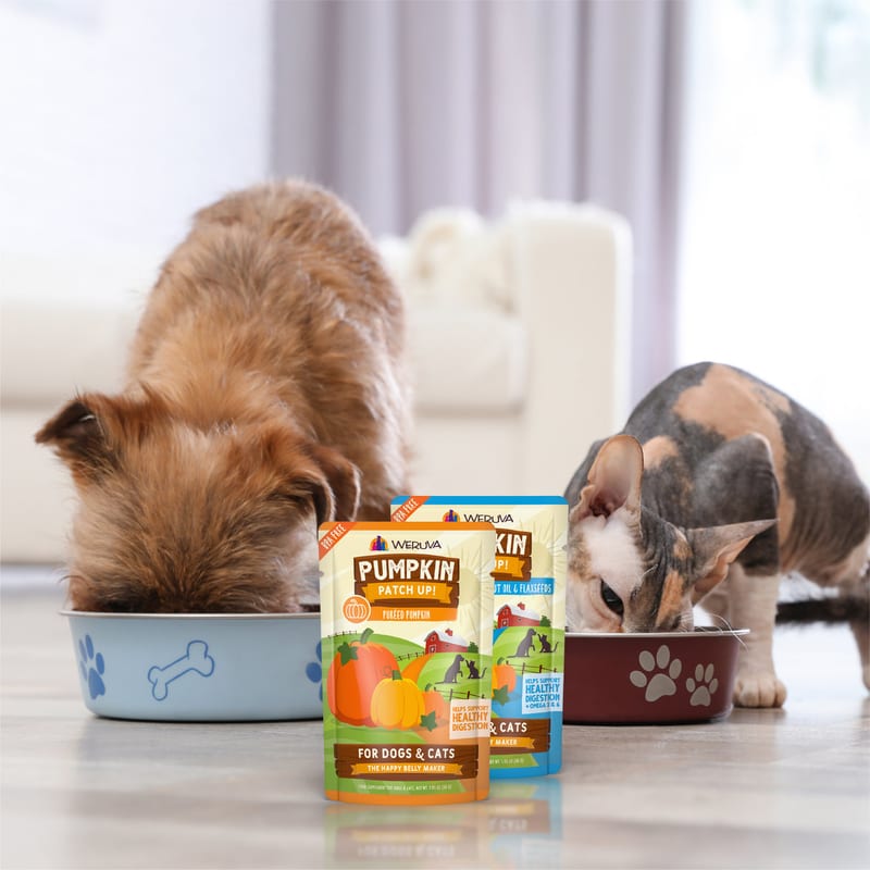 WERUVA DOG and Cat PUMPKIN PATCH 2.8OZ POUCH professional product photo ready to upload to shopify