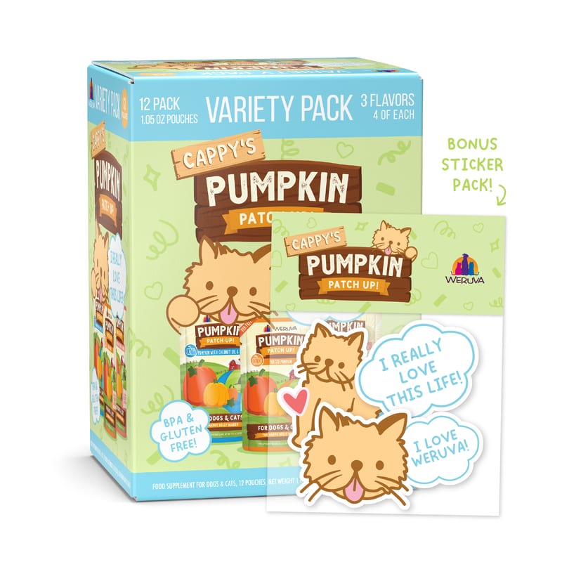 WERUVA Pumpkin Patch Up Variety Pack 1.05oz professional product photo ready to upload to shopify