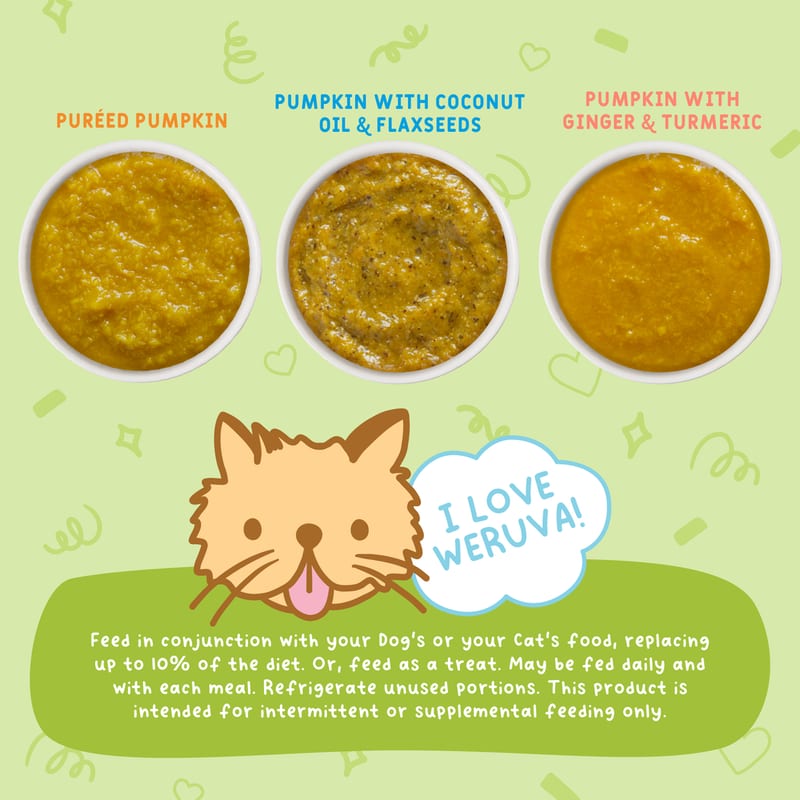 WERUVA Pumpkin Patch Up Variety Pack 1.05oz professional product photo ready to upload to shopify