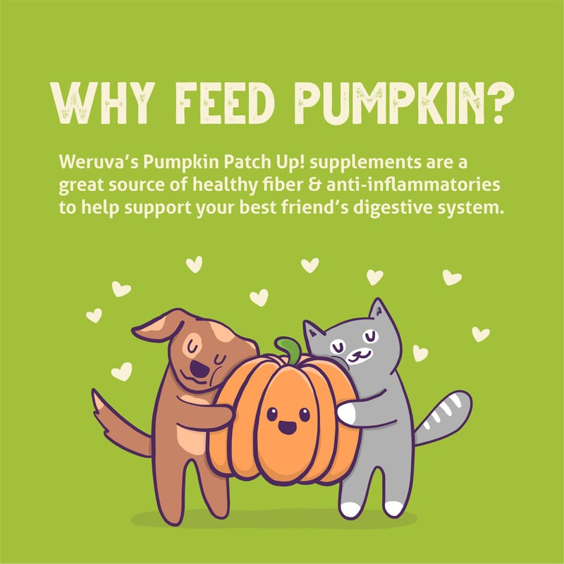 WERUVA Pumpkin Patch Up Variety Pack 1.05oz professional product photo ready to upload to shopify