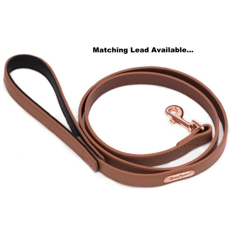 ZIPPYPAWS Leather Dog Collar Brown Large professional product photo ready to upload to shopify